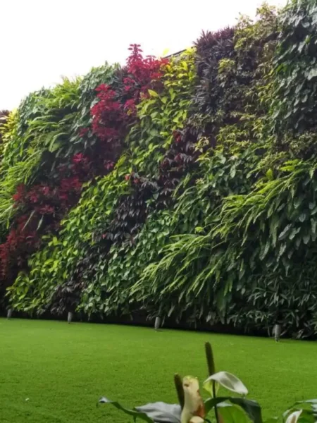 1 450x600