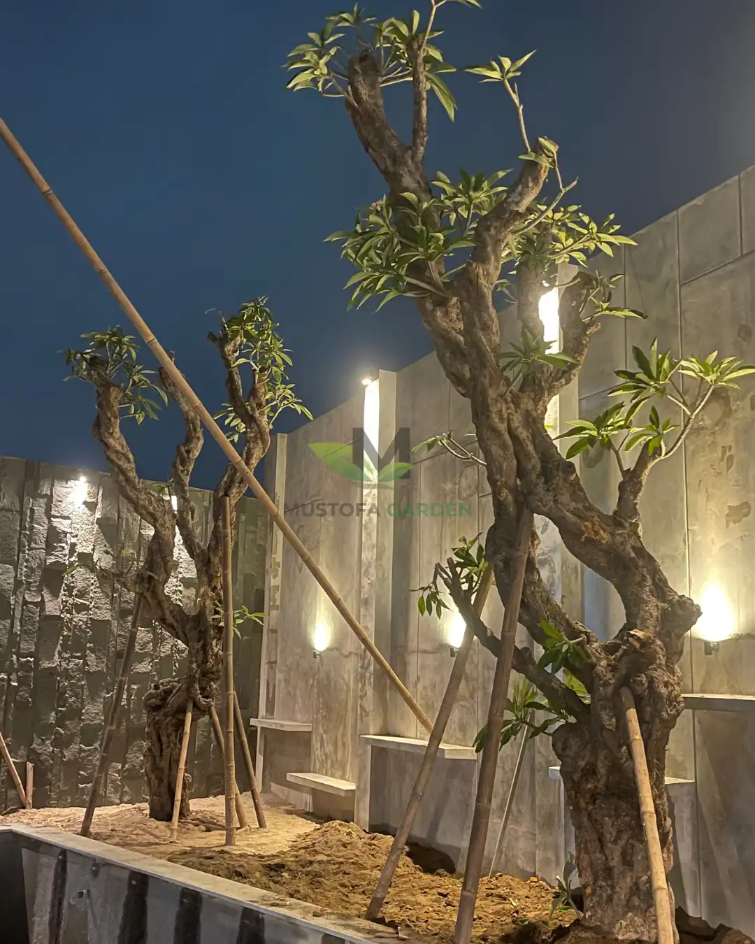 Pocket Garden Klaten 1