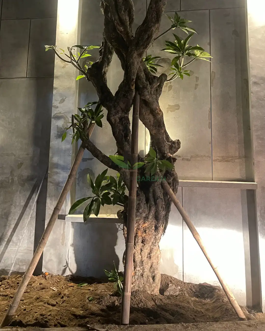 Pocket Garden Klaten 2