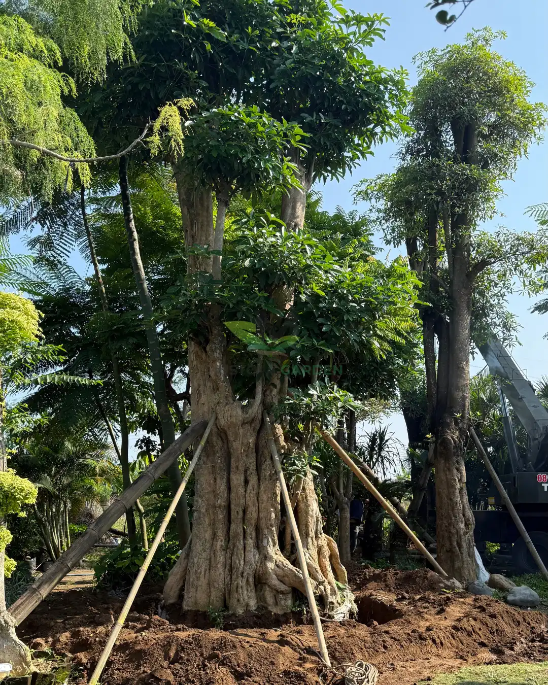 Pocket Garden Klaten 4