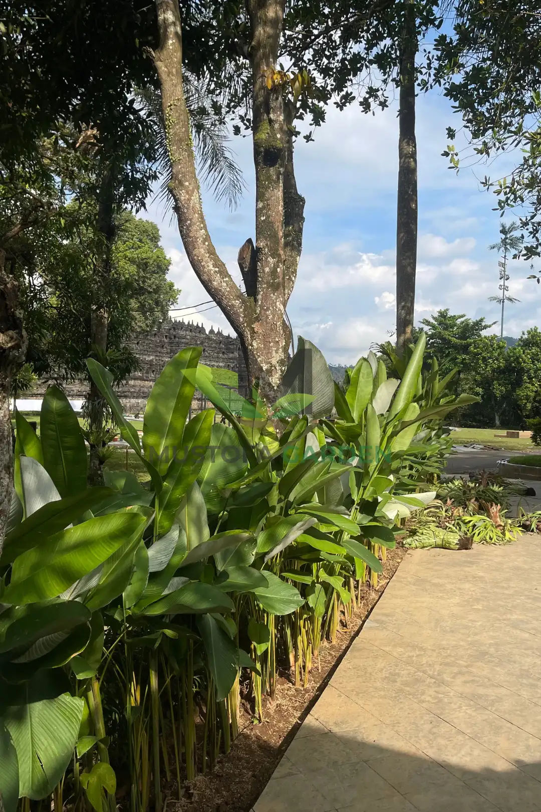 Taman Wisata Borobudur Mustofa Garden - Taman Wisata Borobudur (5)