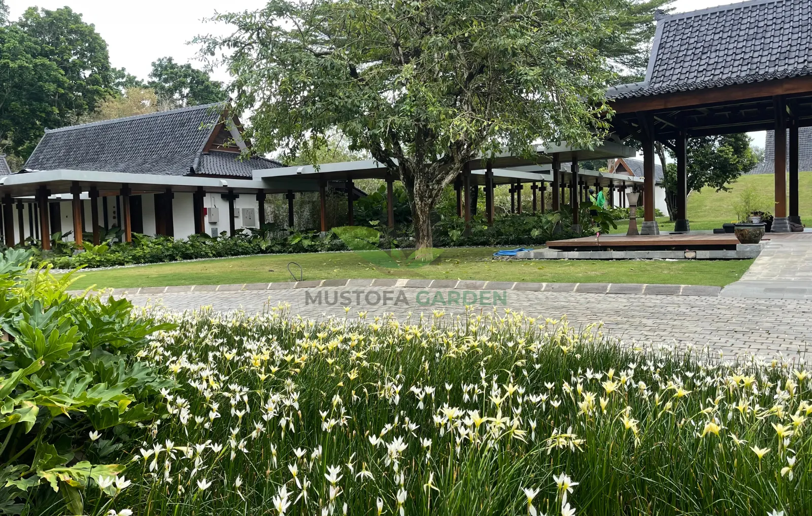 Taman Hotel Manohara Borobudur Taman Hotel Manohara Borobudur - Mustofa Garden (2)