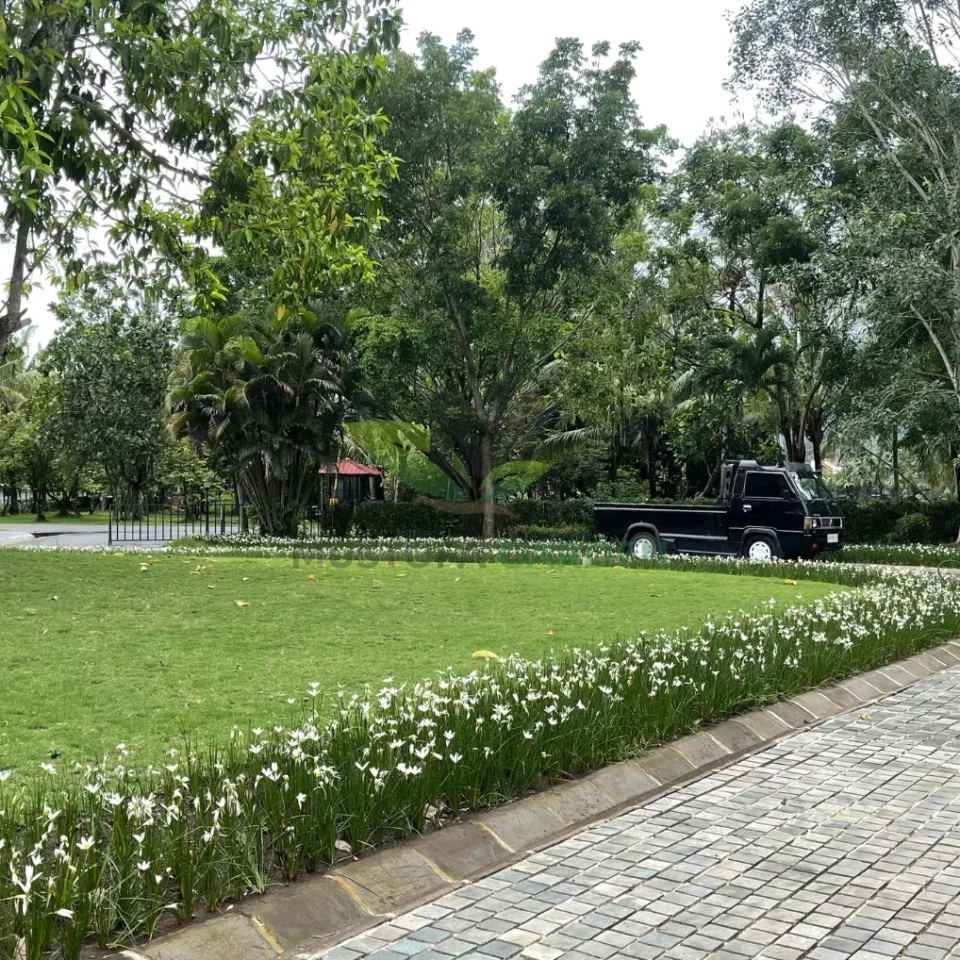 Taman Hotel Manohara Borobudur Mustofa Garden 960x960
