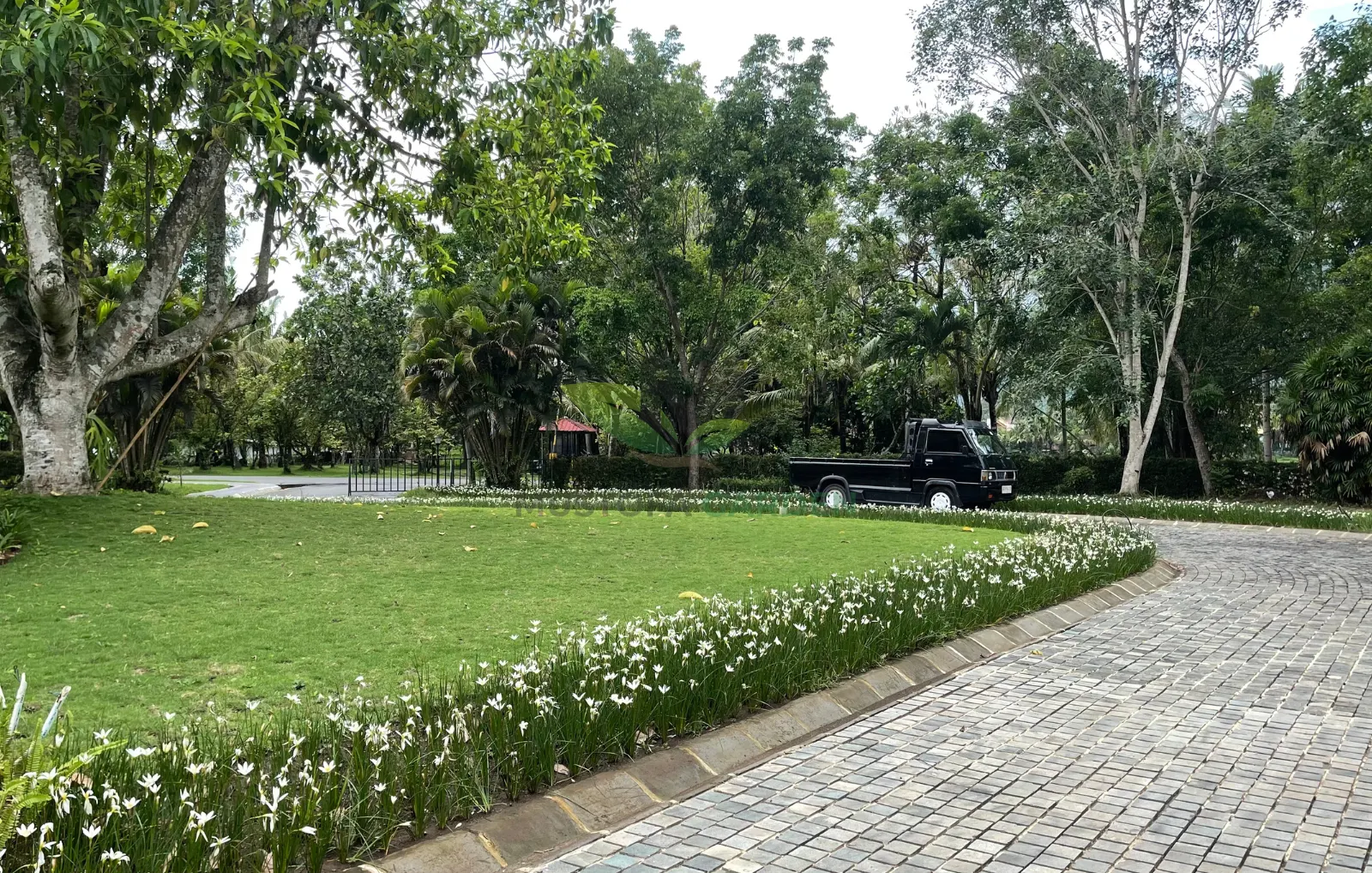 Taman Hotel Manohara Borobudur Taman Hotel Manohara Borobudur - Mustofa Garden