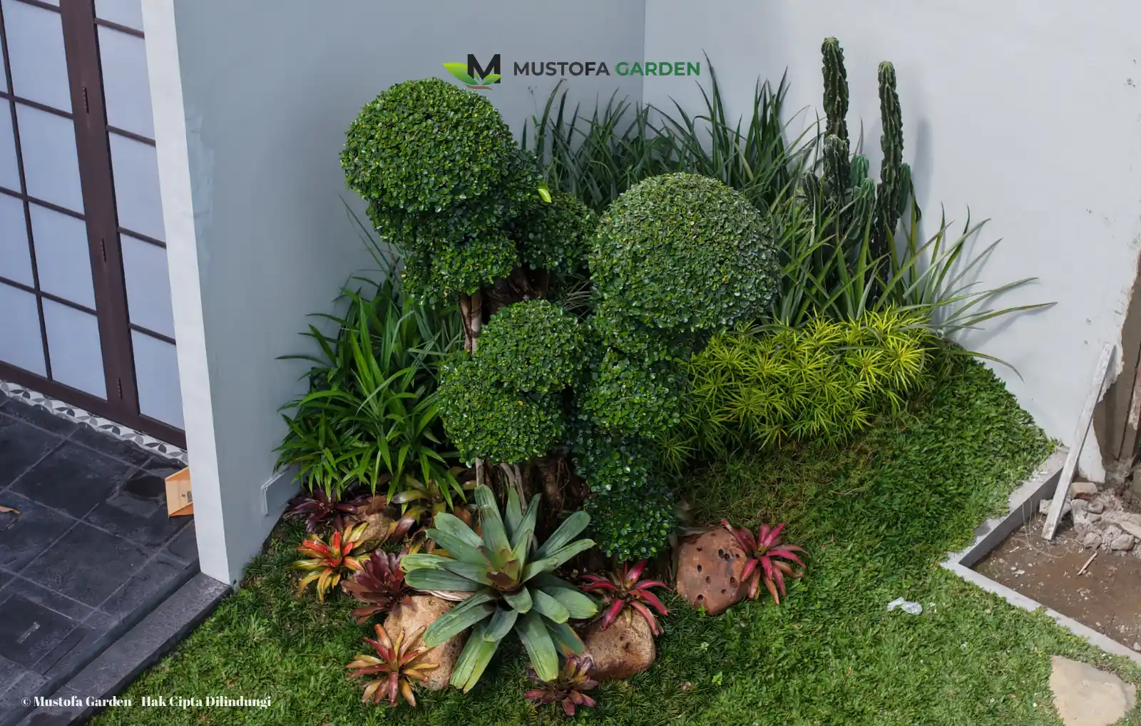 Taman Rumah Tropis (5)