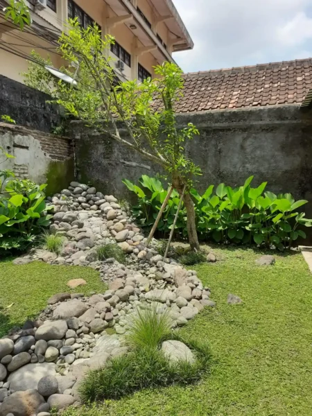 Natural Pond Garden Natural Pond 3 450x600