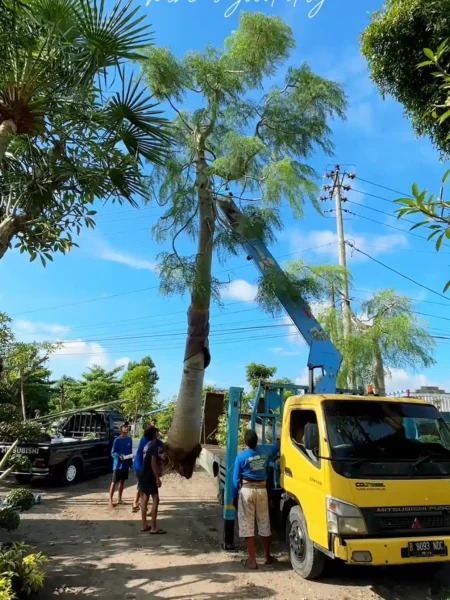 taman pule mustofa garden 008